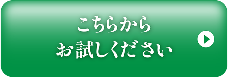 こちらから試す