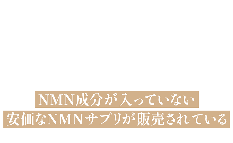 偽物にご注意ください